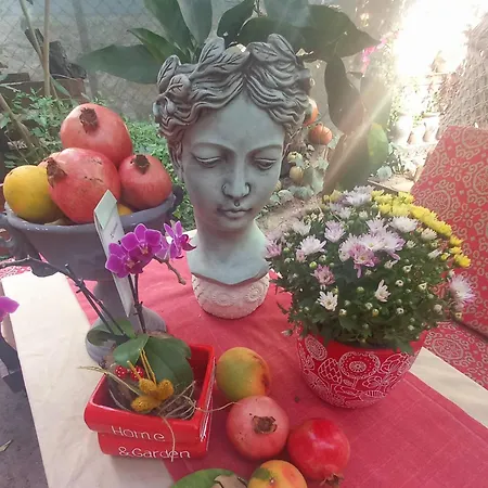 Demeter Rose Stonehouse Pansion Homestay szállás
