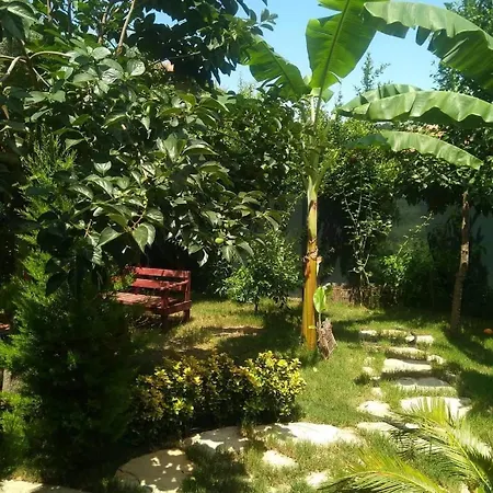 Homestay szállás Demeter Rose Stonehouse Pansion Antalya