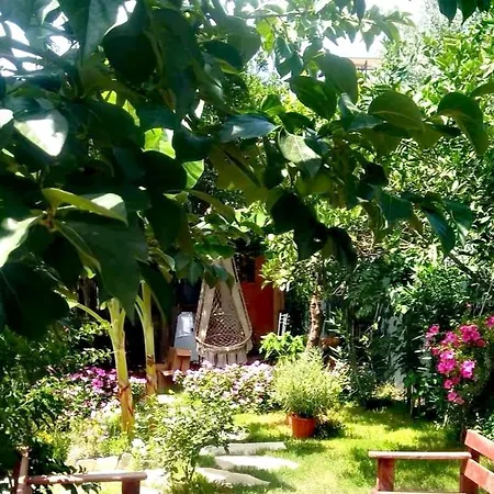 Demeter Rose Stonehouse Pansion Homestay szállás *