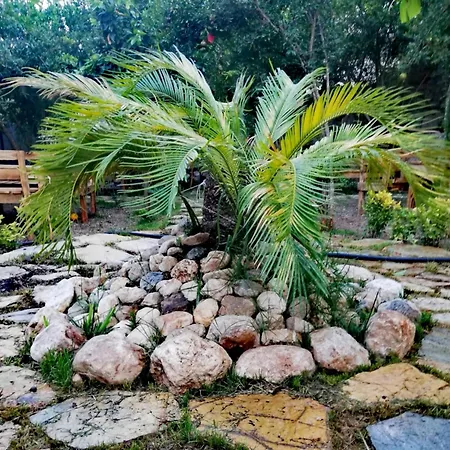 Homestay szállás Demeter Rose Stonehouse Pansion *