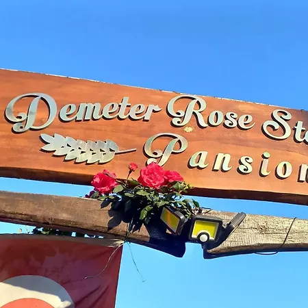 Demeter Rose Stonehouse Pansion *